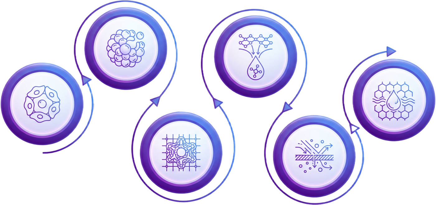 Esquema do processo QMatrix® em 6 etapas conectadas: fonte celular, esferoides, maturação, extração, purificação e hidrogel bioativo