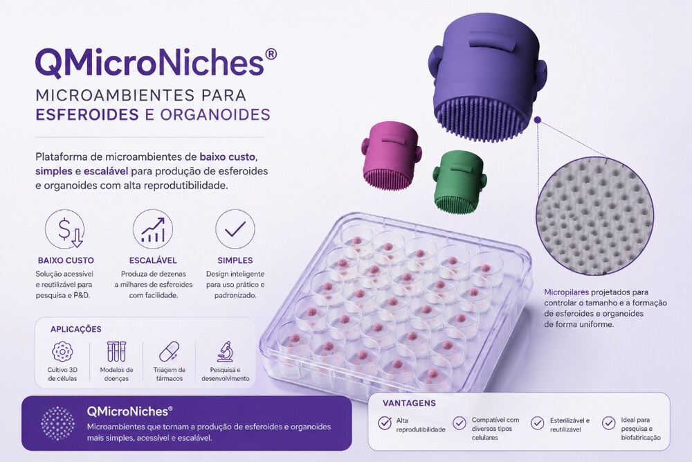 QMicroNiches — Esferoides e Organoides