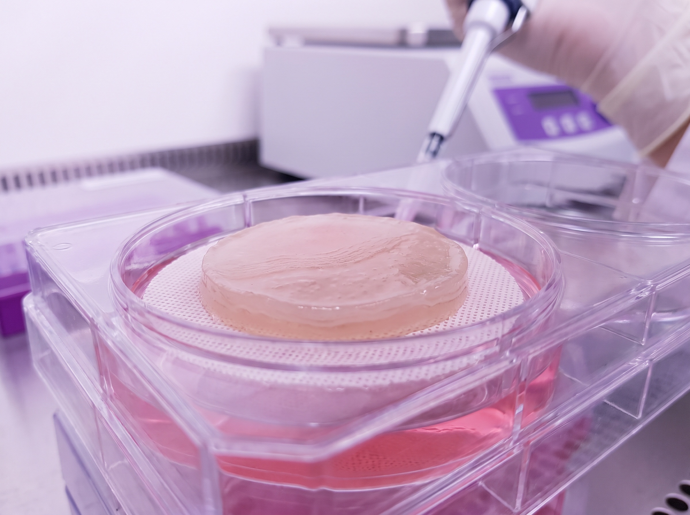 QuantiSkin — Biotinta para Pele 3D