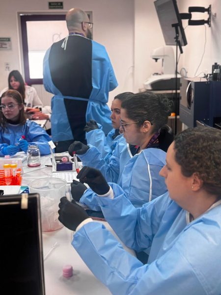 Prática de bancada com biomateriais e pipetagem
